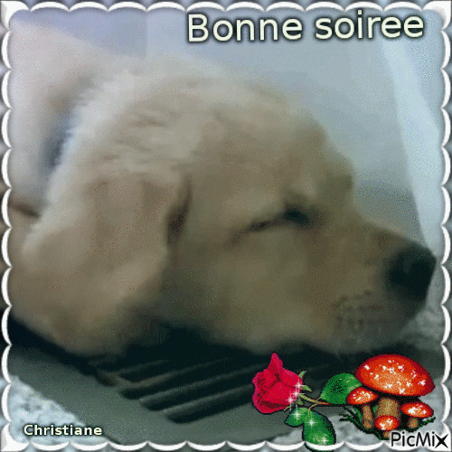 BONNE SOIREE 23 02 - 無料のアニメーション GIF