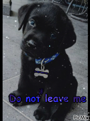 Do not leave me - Free animated GIF