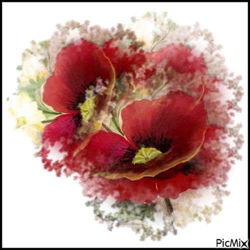 Les coquelicots - Free PNG
