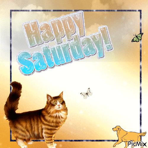 Happy Saturday - Gratis animerad GIF