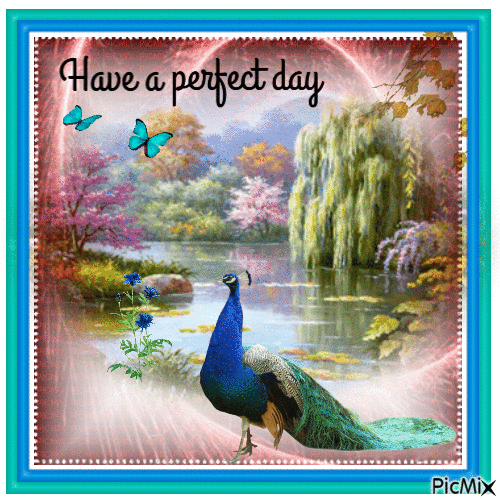 Have a perfect day - Free animated GIF