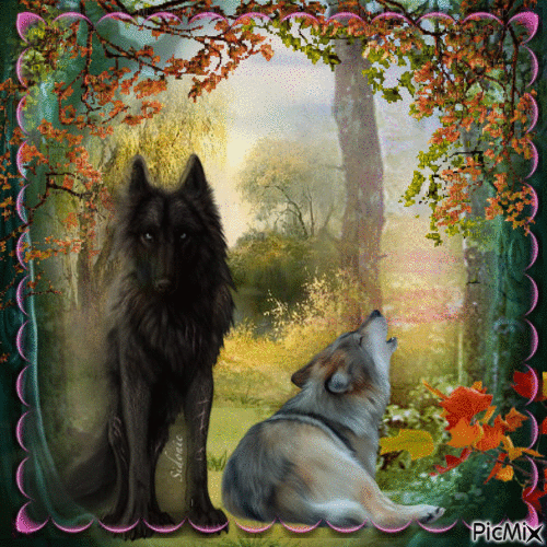 les loups en automne - Gratis animeret GIF