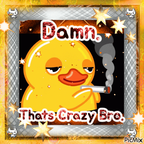 Smoking Duck Damn That's Crazy Bro. - GIF animate gratis