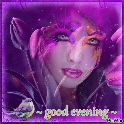 good evening ... in purple - Бесплатный анимированный гифка