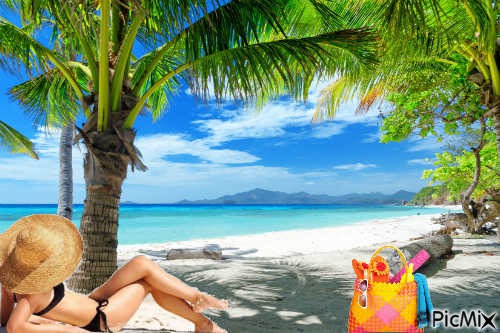 plage cocotier - PNG gratuit