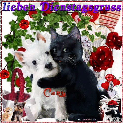 Tuesday greeting dog and cat in love - GIF animado grátis
