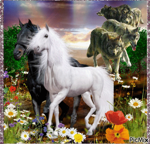 cheval loups - Free animated GIF