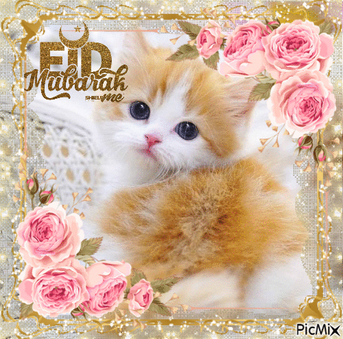 Eid Mubarak kitty - Besplatni animirani GIF