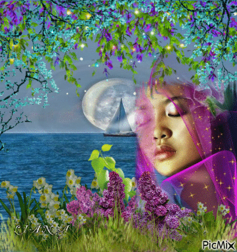 summer moonlight... - Zdarma animovaný GIF