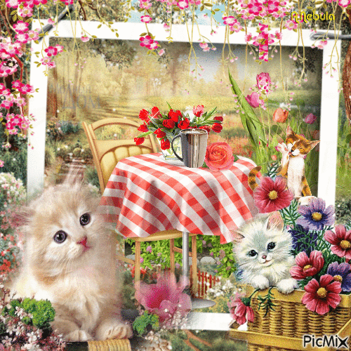 Start of the day in the flower garden/contest - GIF animado grátis