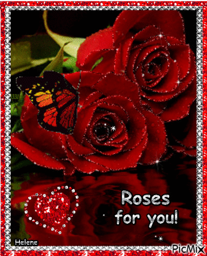Red Roses. - Free animated GIF