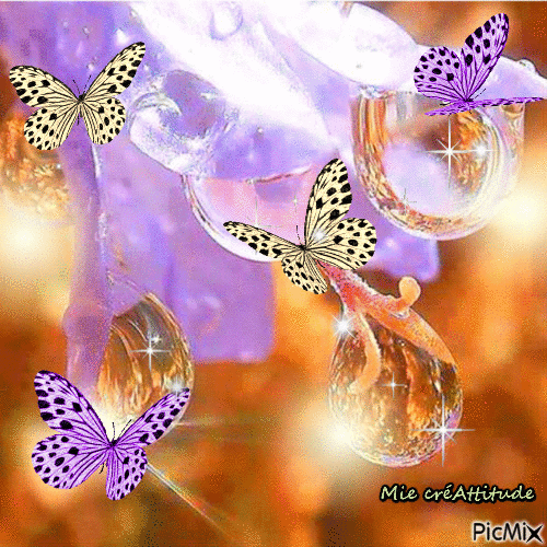 Gouttes d'eau & papillons - Free animated GIF