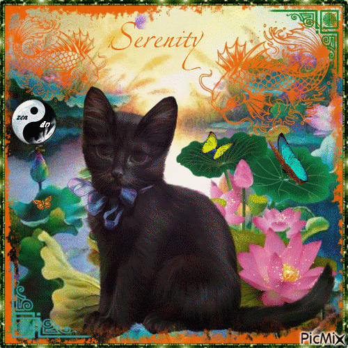 Serenity... Zen cat - Darmowy animowany GIF