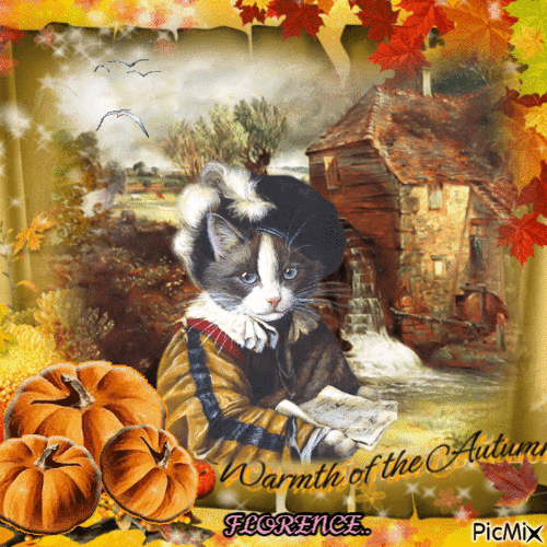 CHAT D'AUTOMNE - Free animated GIF