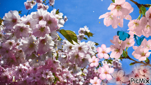 Весна - Darmowy animowany GIF