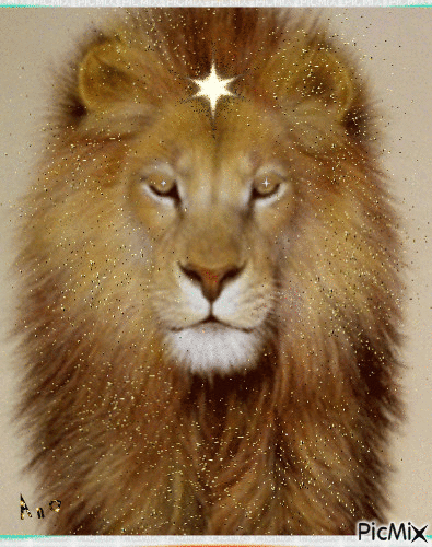 Rei Leão - Gratis animeret GIF
