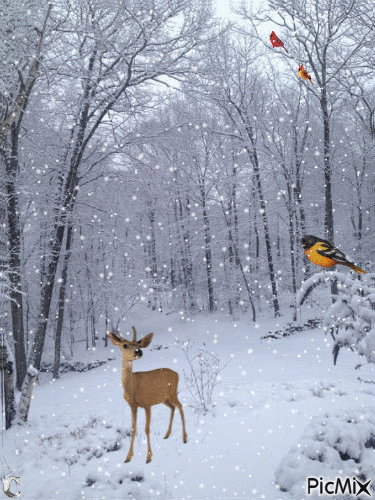 Winter Snow - Darmowy animowany GIF