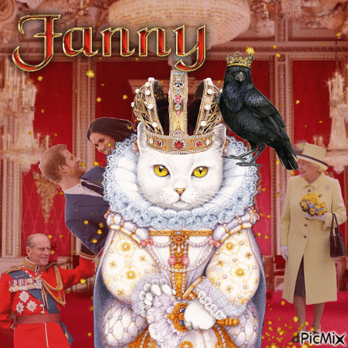 cat royalty - GIF animado grátis