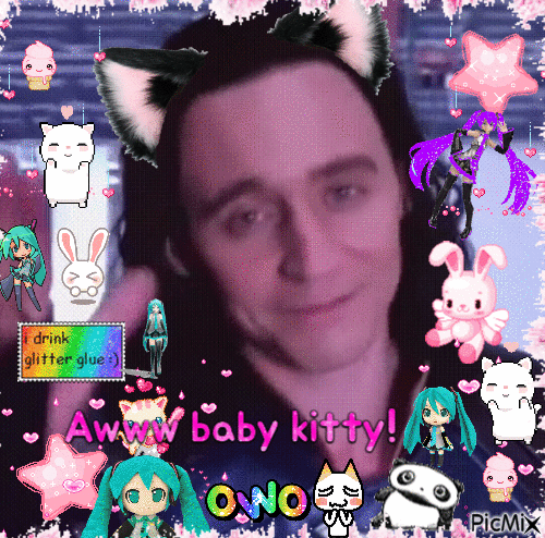 Awww kitty woki - 免费动画 GIF
