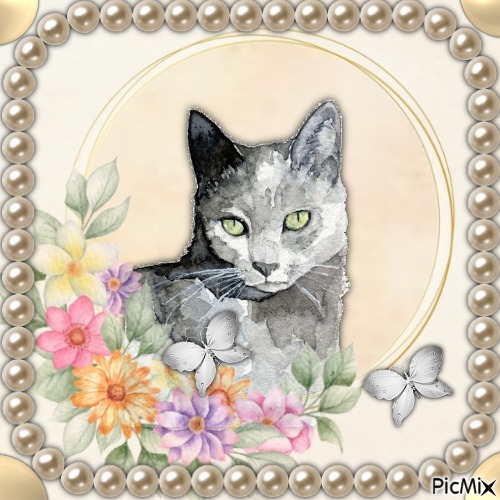 Aquarell cat Portrait - darmowe png