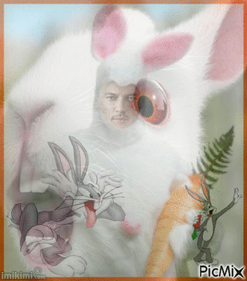 sexy bunny - Gratis animeret GIF