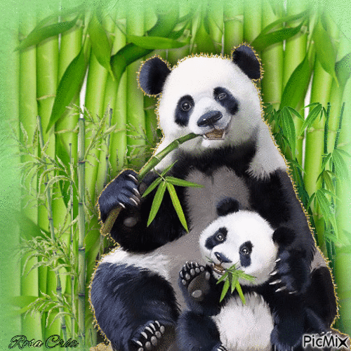 Concours : Maman panda et son bébé - Free animated GIF