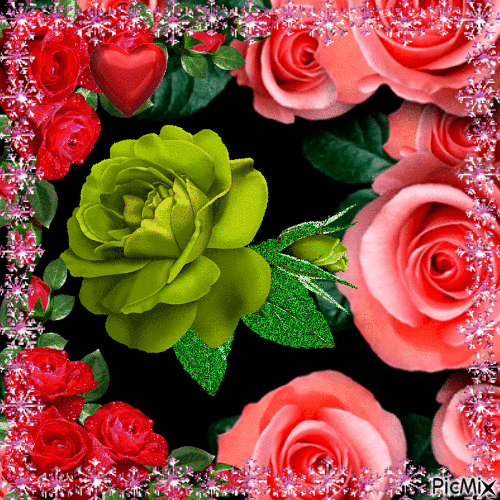 sublimes roses - GIF animé gratuit