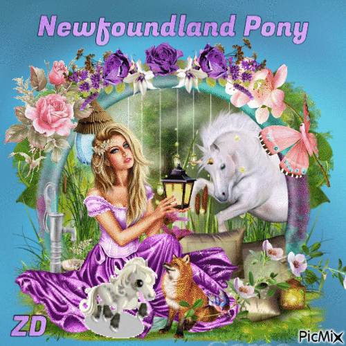 Newfoundland pony - Бесплатни анимирани ГИФ