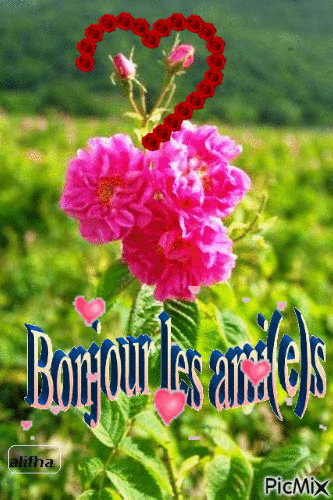 Bonjour les ami(e)s - Δωρεάν κινούμενο GIF