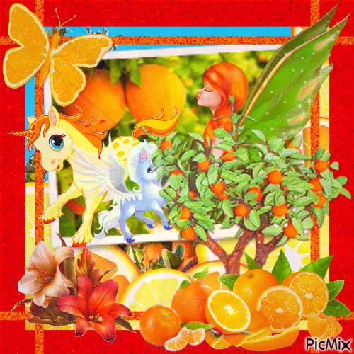 Une orange délicieusement gourmande - Darmowy animowany GIF