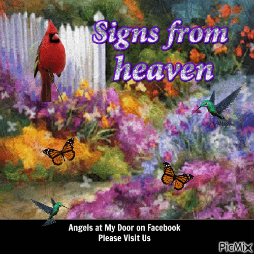 Signs from Heaven - Ingyenes animált GIF