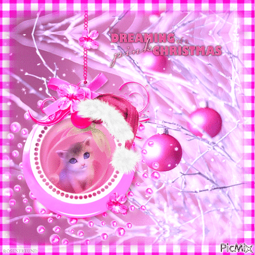 Pink Christmas Cat - GIF animado grátis