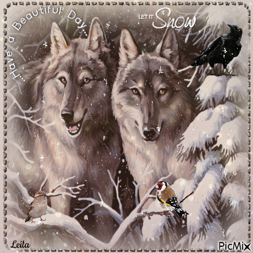 Let it Snow. Have a Beautiful day. Wolves - GIF animé gratuit