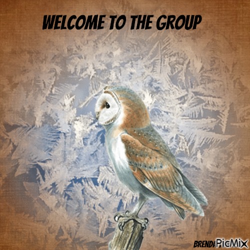 winter welcome owl - png gratuito