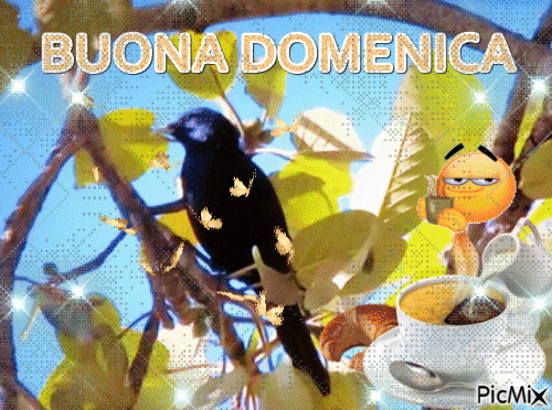 BUONA DOMENICA - Ilmainen animoitu GIF