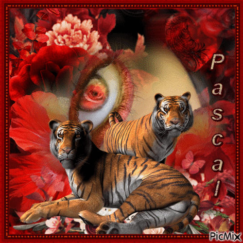 eye of the tiger for pascal from daisy - GIF animé gratuit