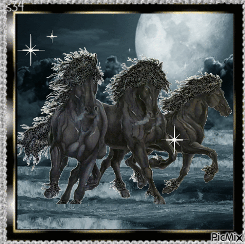chevaux dans une tempête - 無料のアニメーション GIF