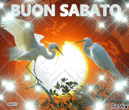 BUON SABATO - Gratis animeret GIF