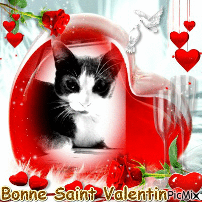 saint valentin - Δωρεάν κινούμενο GIF