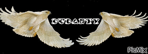 dudanty - GIF animé gratuit