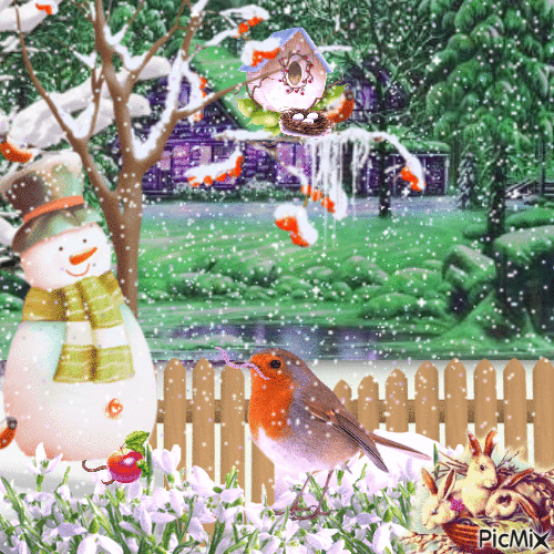 Robin in woodland snow - Animovaný GIF zadarmo
