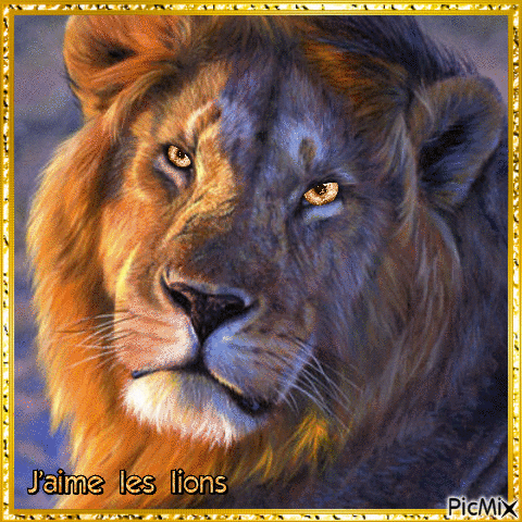 j'AIME LES LIONS - Δωρεάν κινούμενο GIF