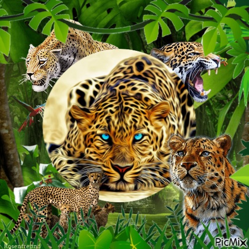 Leopard - безплатен png