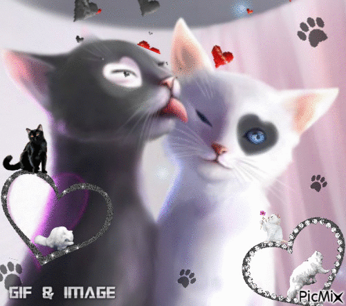 love cat - Безплатен анимиран GIF