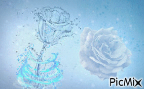 eau - Darmowy animowany GIF