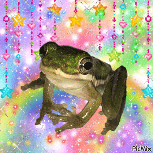 🌈 frog 🌟 - GIF animate gratis