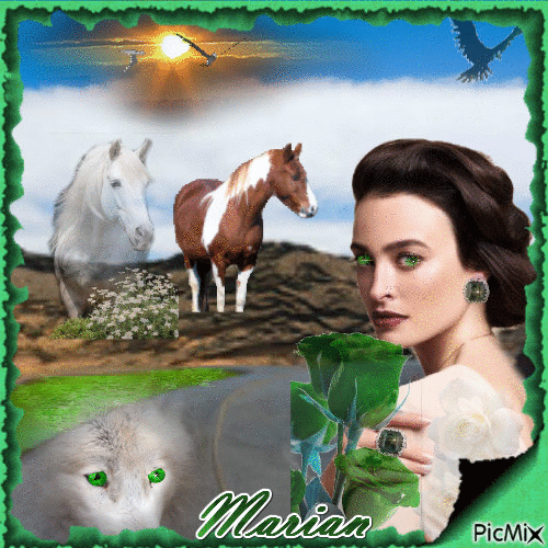 Cheval Et Loup - Free animated GIF