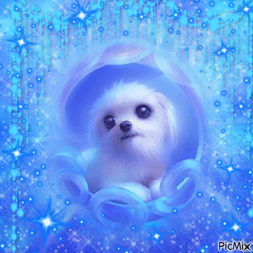Magical Blue Dog - GIF animado grátis