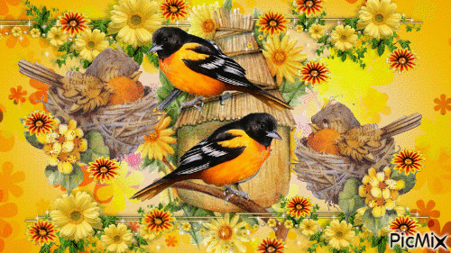 A TOUCH OF SPRING. 2 BIRDS SWEM TO BE HAVING A TALK WITH THEIR BABIES, BUT THE BABIES SEEM TO BE WINNING. THERE ARE 2 NEST, AND A BIRD HOUSW. THERE ARE ORANGES, YELLOW AND BROWN COLORS. - Bezmaksas animēts GIF