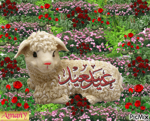 عيد سعيد - Darmowy animowany GIF